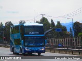 Pullman Setter 12 na cidade de San Fernando, Colchagua, Libertador General Bernardo O'Higgins, Chile, por Pablo Andres Yavar Espinoza. ID da foto: :id.