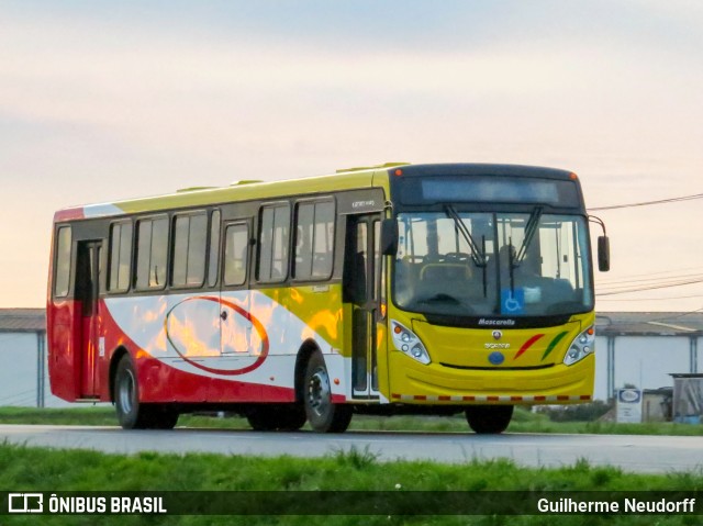 Mascarello  na cidade de São José dos Pinhais, Paraná, Brasil, por Guilherme Neudorff. Número da foto: #10635452.