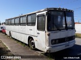 Embrapa 6260 na cidade de Pelotas, Rio Grande do Sul, Brasil, por Luis Alfredo Knuth. Número da foto: #10633053.