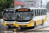 Belém Rio Transportes BD-204 na cidade de Belém, Pará, Brasil, por Fabio Soares. Número da foto: #10636338.