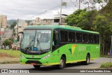 Pássaro Verde 15143 na cidade de Viçosa, Minas Gerais, Brasil, por Julio Cesar Euzebio Alves. Número da foto: #:id.
