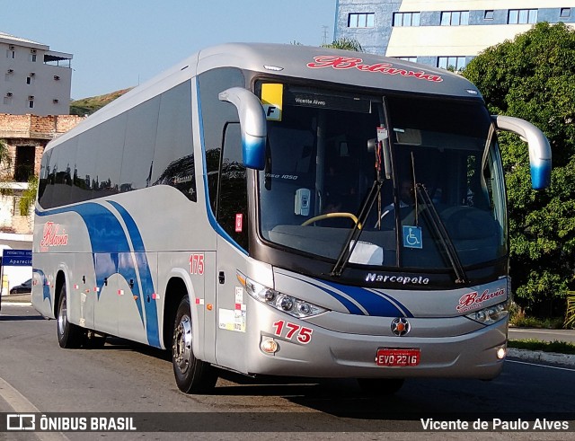 Transportes e Turismo Ltda Belavia 175 na cidade de Aparecida, São Paulo, Brasil, por Vicente de Paulo Alves. ID da foto: 10644228.