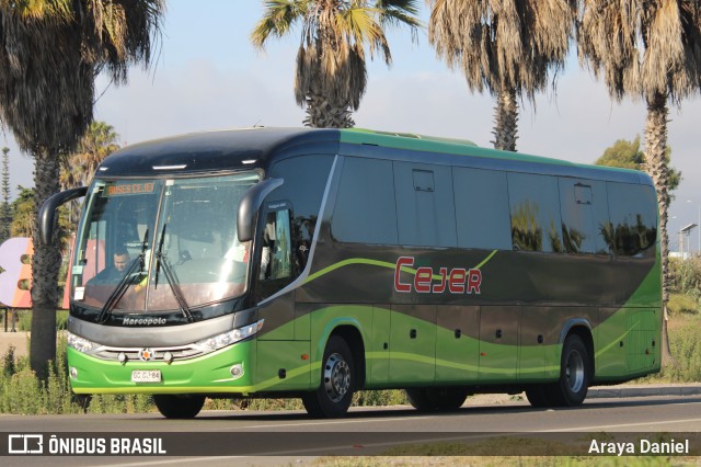 Buses Cejer  na cidade de Coquimbo, Elqui, Coquimbo, Chile, por Araya Daniel . Número da foto: #10645255.