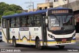 Belém Rio Transportes BD-029 na cidade de Belém, Pará, Brasil, por Fabio Soares. Número da foto: #10643898.