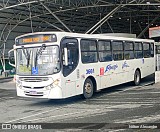 Expresso Vitória Bahia 3661 na cidade de Lauro de Freitas, Bahia, Brasil, por Nilton Alexandre. Número da foto: #10646058.