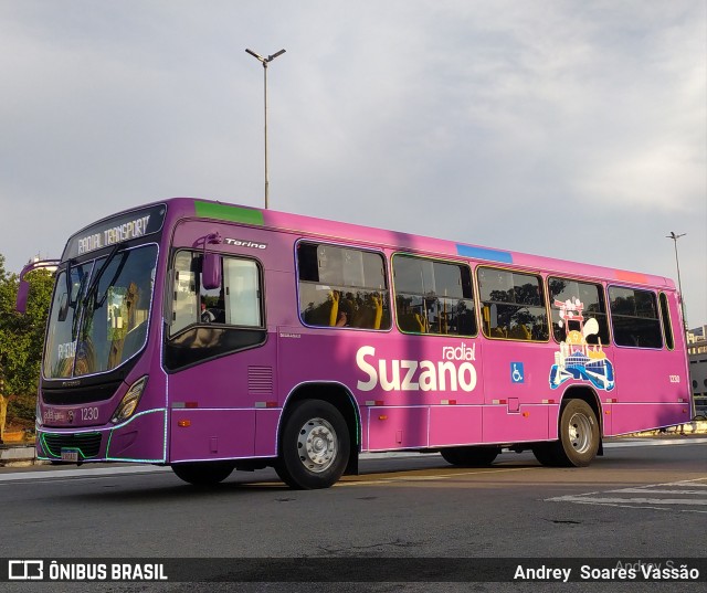 Radial Transporte Coletivo 1230 na cidade de São Paulo, São Paulo, Brasil, por Andrey  Soares Vassão. ID da foto: 10646873.