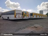Coletivo Transportes 3659 na cidade de Caruaru, Pernambuco, Brasil, por Marcos Silva. Número da foto: #10649731.