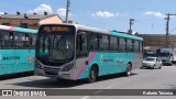 Rosa Turismo Mairiporã 12507 na cidade de Mairiporã, São Paulo, Brasil, por Roberto Teixeira. ID da foto: :id.