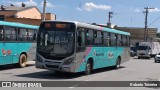 Rosa Turismo Mairiporã 12501 na cidade de Mairiporã, São Paulo, Brasil, por Roberto Teixeira. Número da foto: #9712332.