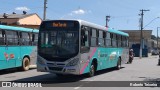Rosa Turismo Mairiporã 12505 na cidade de Mairiporã, São Paulo, Brasil, por Roberto Teixeira. Número da foto: #9712370.