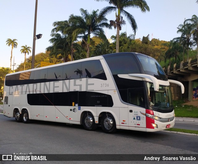 Auto Viação Catarinense 3736 na cidade de Santos, São Paulo, Brasil, por Andrey  Soares Vassão. ID da foto: 9738704.