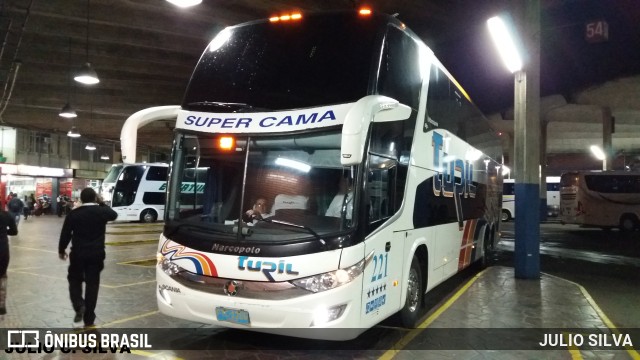 Turil 221 na cidade de Porto Alegre, Rio Grande do Sul, Brasil, por JULIO SILVA. Número da foto: #9740171.