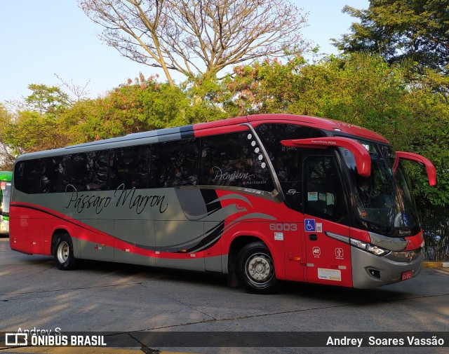 Empresa de Ônibus Pássaro Marron 6003 na cidade de São Paulo, São Paulo, Brasil, por Andrey  Soares Vassão. Número da foto: #9744246.