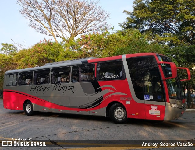 Empresa de Ônibus Pássaro Marron 5019 na cidade de São Paulo, São Paulo, Brasil, por Andrey  Soares Vassão. Número da foto: #9743955.