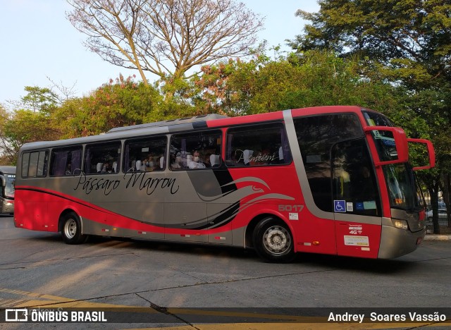 Empresa de Ônibus Pássaro Marron 5017 na cidade de São Paulo, São Paulo, Brasil, por Andrey  Soares Vassão. ID da foto: 9743941.