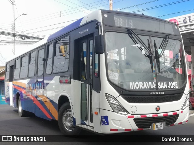 Transportes Paracito 104 na cidade de San Vicente, Moravia, San José, Costa Rica, por Daniel Brenes. Número da foto: #9749305.