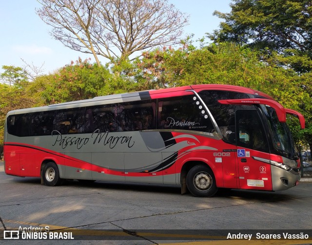 Empresa de Ônibus Pássaro Marron 6002 na cidade de São Paulo, São Paulo, Brasil, por Andrey  Soares Vassão. Número da foto: #9749284.