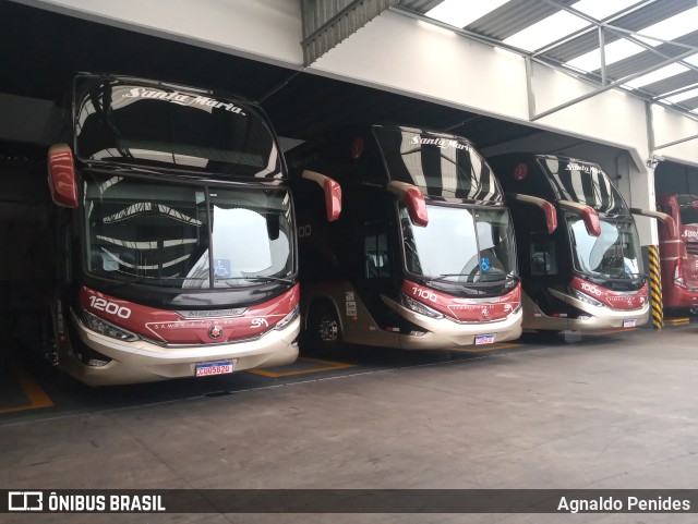 Santa Maria Fretamento e Turismo > Transportes Santa Maria(SP) 1200 na cidade de São Bernardo do Campo, São Paulo, Brasil, por Agnaldo Penides. Número da foto: #9752775.
