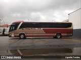 Santa Maria Fretamento e Turismo > Transportes Santa Maria(SP) 530 na cidade de São Bernardo do Campo, São Paulo, Brasil, por Agnaldo Penides. Número da foto: #9752764.