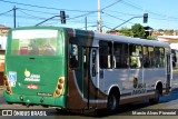 Águia Dourada 2160 na cidade de Salinas, Minas Gerais, Brasil, por Marcio Alves Pimentel. Número da foto: #:id.