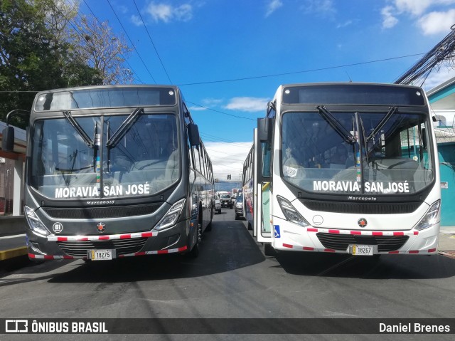 AMSA - Autotransportes Moravia 61 na cidade de San Vicente, Moravia, San José, Costa Rica, por Daniel Brenes. Número da foto: #9754799.