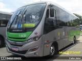 Transcooper > Norte Buss 1 6430 na cidade de São Paulo, São Paulo, Brasil, por Carlos Júnior. Número da foto: #9756028.
