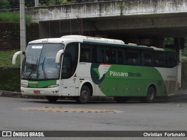 Pássaro Verde 29020 na cidade de Muriaé, Minas Gerais, Brasil, por Christian  Fortunato. Número da foto: #9760821.
