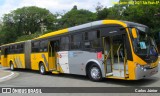 Transportes Capellini 23019 na cidade de São Paulo, São Paulo, Brasil, por Carlos Júnior. Número da foto: #9763240.