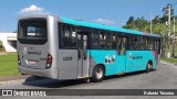 Rosa Turismo Mairiporã 13529 na cidade de Mairiporã, São Paulo, Brasil, por Roberto Teixeira. Número da foto: #9715364.