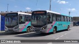 Rosa Turismo Mairiporã 12502 na cidade de Mairiporã, São Paulo, Brasil, por Roberto Teixeira. Número da foto: #9715325.