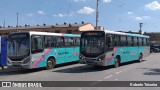 Rosa Turismo Mairiporã 12502 na cidade de Mairiporã, São Paulo, Brasil, por Roberto Teixeira. Número da foto: #9715350.