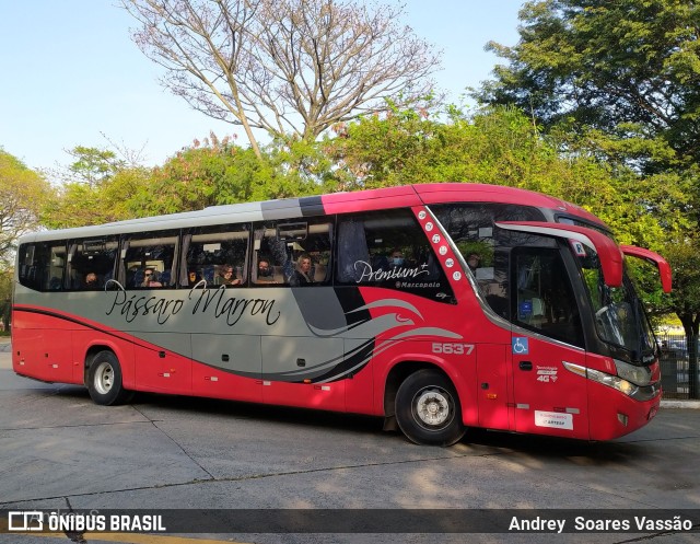 Empresa de Ônibus Pássaro Marron 5637 na cidade de São Paulo, São Paulo, Brasil, por Andrey  Soares Vassão. Número da foto: #9766242.