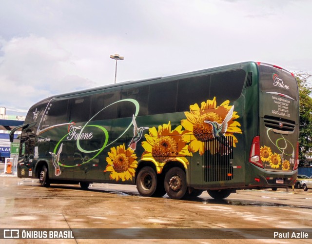Falone Turismo 010 na cidade de Goiânia, Goiás, Brasil, por Paul Azile. Número da foto: #9766006.