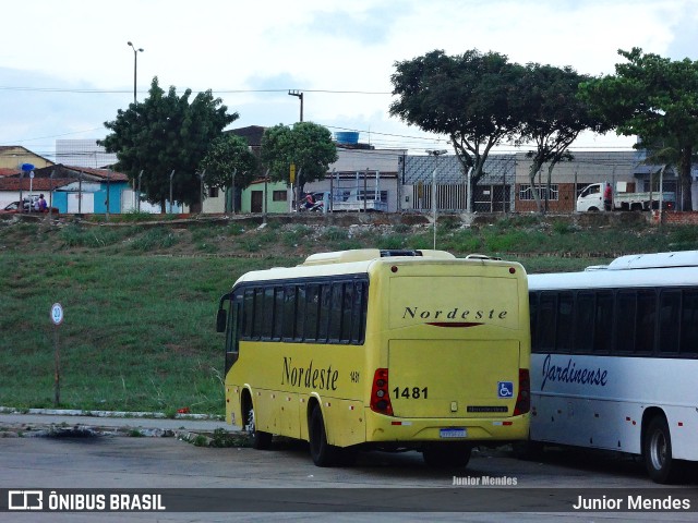 Viação Nordeste 1481 na cidade de Natal, Rio Grande do Norte, Brasil, por Junior Mendes. ID da foto: 9764548.