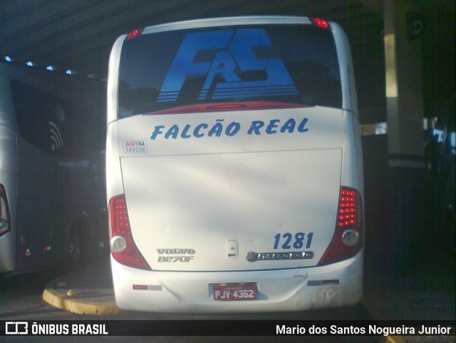 Falcão Real 1281 na cidade de Salvador, Bahia, Brasil, por Mario dos Santos Nogueira Junior. ID da foto: 9767226.