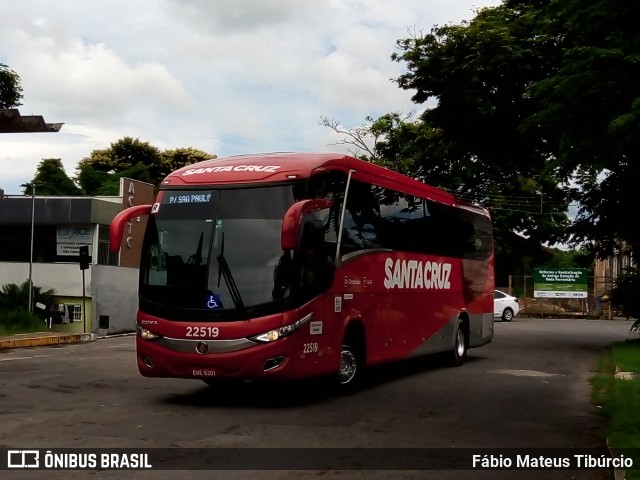 Viação Santa Cruz 22519 na cidade de Três Corações, Minas Gerais, Brasil, por Fábio Mateus Tibúrcio. ID da foto: 9768971.