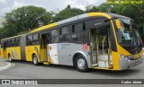 Transportes Capellini 23019 na cidade de São Paulo, São Paulo, Brasil, por Carlos Júnior. Número da foto: #9769448.