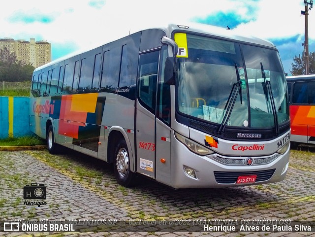 Transportes Capellini 14173 na cidade de Valinhos, São Paulo, Brasil, por Henrique Alves de Paula Silva. ID da foto: 9774658.