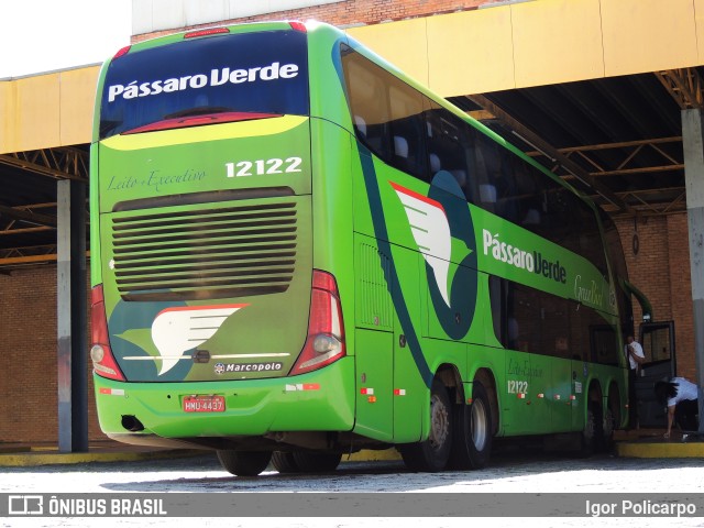 Pássaro Verde 12122 na cidade de Divinópolis, Minas Gerais, Brasil, por Igor Policarpo. Número da foto: #9774101.