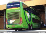 Pássaro Verde 12122 na cidade de Divinópolis, Minas Gerais, Brasil, por Igor Policarpo. Número da foto: #9774101.