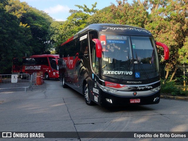 Empresa de Ônibus Pássaro Marron 8802 na cidade de São Paulo, São Paulo, Brasil, por Espedito de Brito Gomes. Número da foto: #9776185.