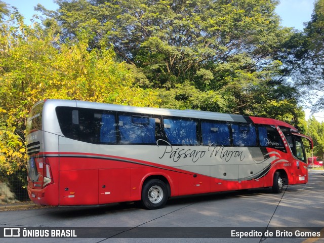 Empresa de Ônibus Pássaro Marron 5641 na cidade de São Paulo, São Paulo, Brasil, por Espedito de Brito Gomes. ID da foto: 9776231.