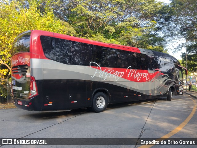 Empresa de Ônibus Pássaro Marron 8802 na cidade de São Paulo, São Paulo, Brasil, por Espedito de Brito Gomes. Número da foto: #9776198.
