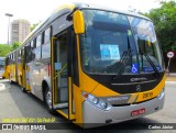 Transportes Capellini 23019 na cidade de São Paulo, São Paulo, Brasil, por Carlos Júnior. Número da foto: #9778569.