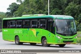 Pássaro Verde 19172 na cidade de Manhuaçu, Minas Gerais, Brasil, por Athos Lauriano do Prado. Número da foto: #:id.