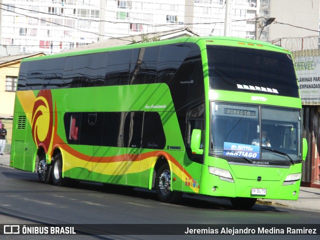 Pullman Setter  na cidade de Santiago, Santiago, Metropolitana de Santiago, Chile, por Jeremias Alejandro Medina Ramirez. Número da foto: #9779780.