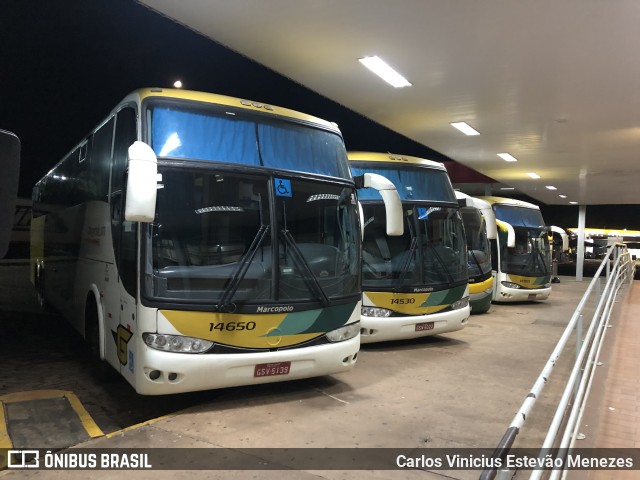 Empresa Gontijo de Transportes 14650 na cidade de Ribeirão Preto, São Paulo, Brasil, por Carlos Vinicius Estevão Menezes. ID da foto: 9779694.