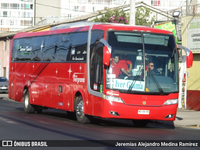 Iver-Grama  na cidade de Santiago, Santiago, Metropolitana de Santiago, Chile, por Jeremias Alejandro Medina Ramirez. Número da foto: #9779857.