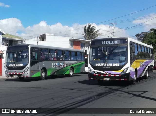 AMSA - Autotransportes Moravia 63 na cidade de San Vicente, Moravia, San José, Costa Rica, por Daniel Brenes. Número da foto: #9780089.