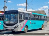 Rosa Turismo Mairiporã 13516 na cidade de Mairiporã, São Paulo, Brasil, por Igor F.. Número da foto: #9779992.